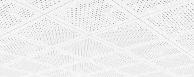 Reasons why you should invest in Acoustic Ceilings